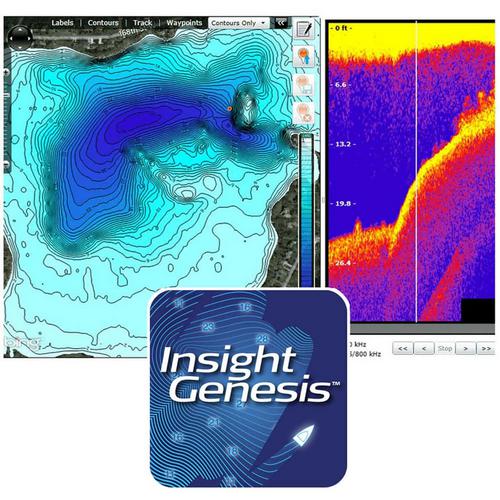 INSIGHT GENESIS